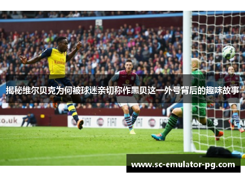 揭秘维尔贝克为何被球迷亲切称作黑贝这一外号背后的趣味故事