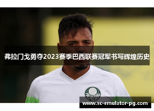 弗拉门戈勇夺2023赛季巴西联赛冠军书写辉煌历史