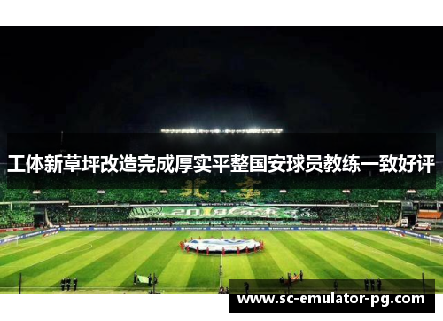 工体新草坪改造完成厚实平整国安球员教练一致好评