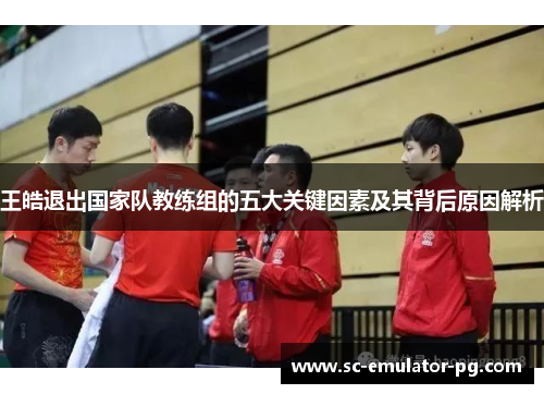 王皓退出国家队教练组的五大关键因素及其背后原因解析